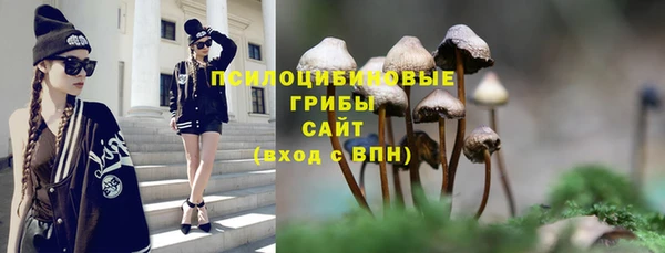 метадон Протвино