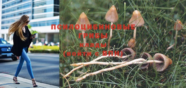 jwh Абинск