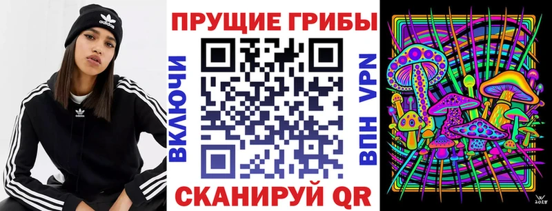 Псилоцибиновые грибы мухоморы  купить закладку  Дубна 