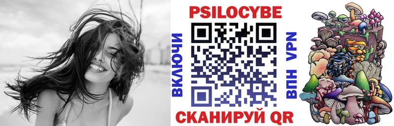 Галлюциногенные грибы Psilocybe Дубна