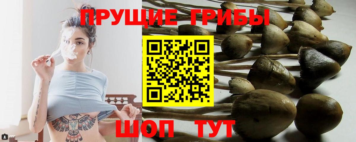 Псилоцибиновые грибы MAGIC MUSHROOMS Дубна