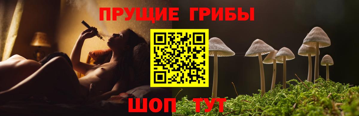 Дубна  Галлюциногенные грибы ЛСД  Вход с VPN 
